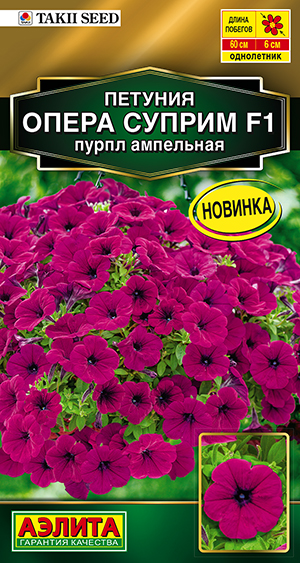 Петуния Опера суприм F1 пурпл ампельная Петуния Опера суприм F1 пурпл ампельная