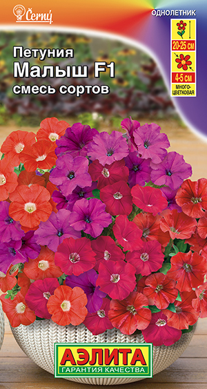 Петуния мини Малыш F1 многоцветковая,смесь сортов Петуния мини Малыш F1 многоцветковая,смесь сортов