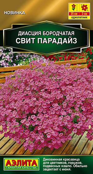 Диасция Свит парадайз Диасция Свит парадайз