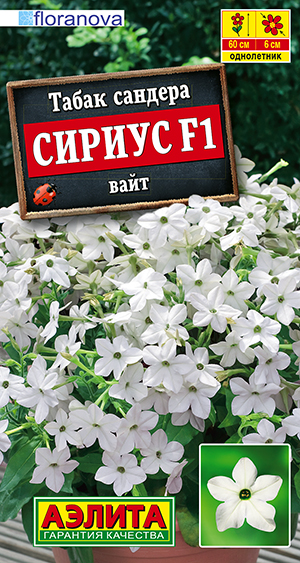 Табак сандера Сириус F1 вайт