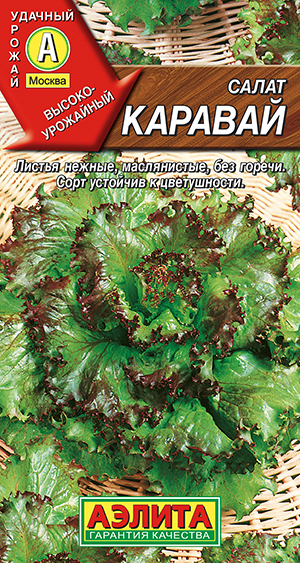 ����� ������� ��������