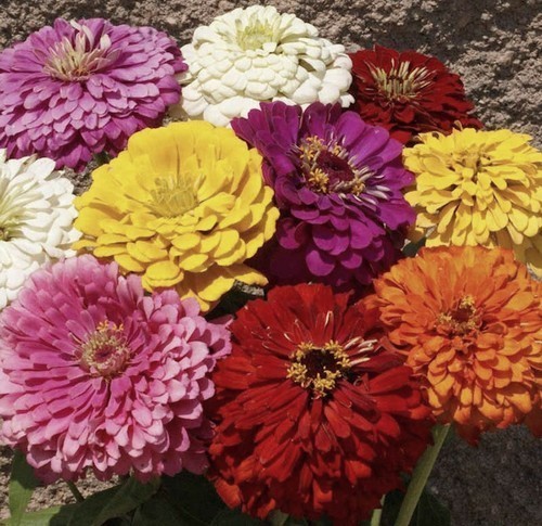 ������ ������� �������������, ����� ������