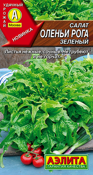 ����� ������ ���� �������