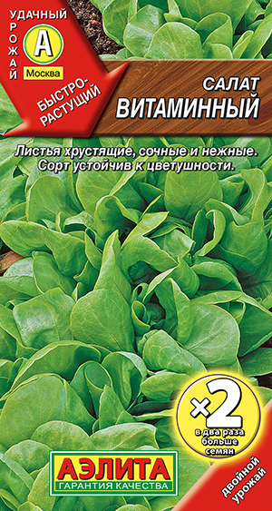 Салат Витаминный листовой Салат Витаминный листовой