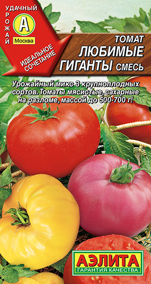 ����� ������� �������, �����