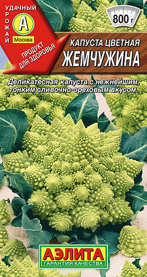 Капуста цветная Жемчужина Капуста цветная Жемчужина