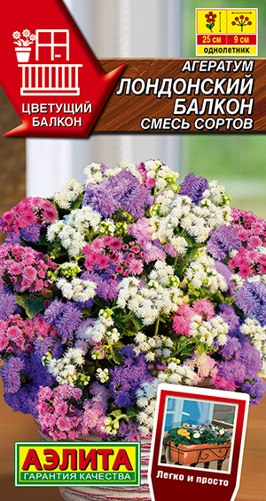 Агератум Лондонский балкон, смесь сортов Агератум Лондонский балкон, смесь сортов