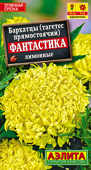 �������� ���������� ��������