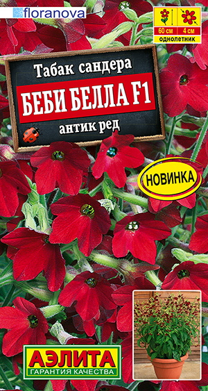 Табак сандера Беби Белла F1 антик ред Табак сандера Беби Белла F1 антик ред