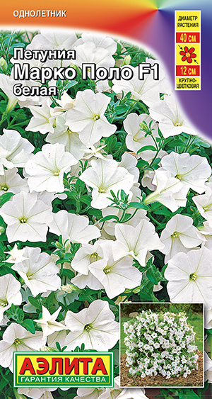 ������� ����� ���� F1 �����