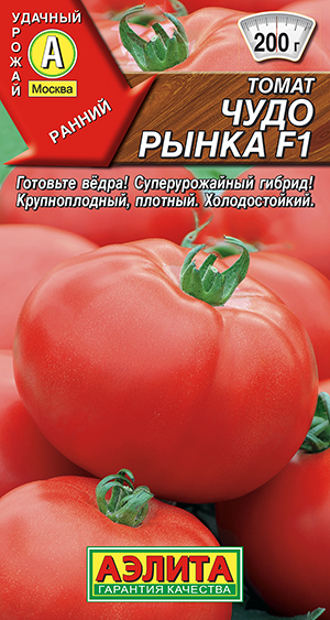 ����� ���� ����� F1