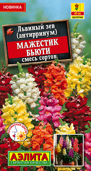 Львиный зев Мажестик бьюти, смесь сортов Львиный зев Мажестик бьюти, смесь сортов