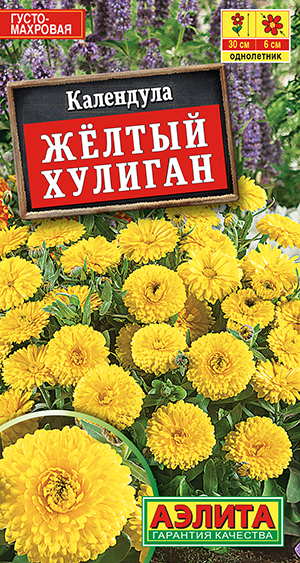 ��������� ������ �������