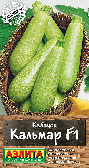 Кабачок цуккини Кальмар F1 Кабачок цуккини Кальмар F1