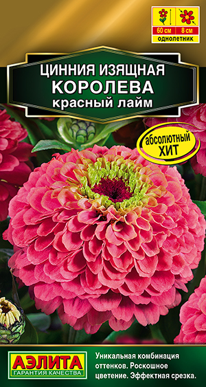 ������ �������� ������� ����