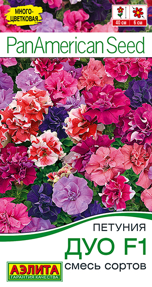 Петуния Дуо F1, смесь сортов Петуния Дуо F1, смесь сортов