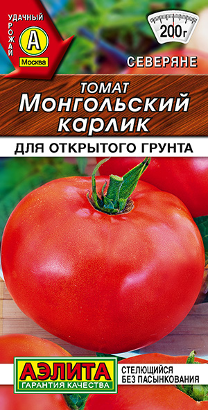 ����� ����������� ������