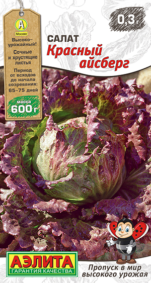 ����� ������� �������