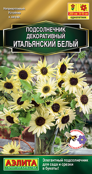 Подсолнечник декоративный Итальянский белый Подсолнечник декоративный Итальянский белый