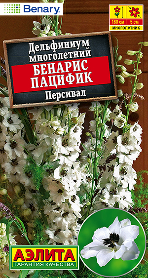 Дельфиниум Бенарис пацифик персивал