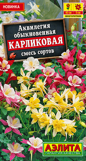 Аквилегия Карликовая, смесь сортов Аквилегия Карликовая, смесь сортов