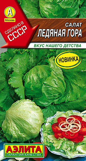 ����� ������� ����