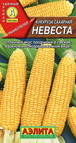 �������� �������� �������