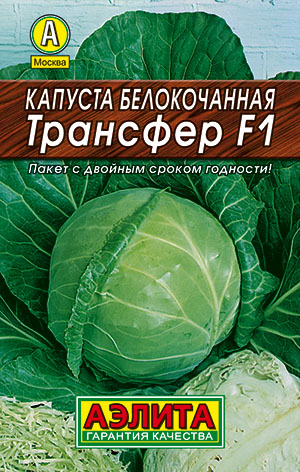 Капуста б/к Трансфер F1 Капуста б/к Трансфер F1