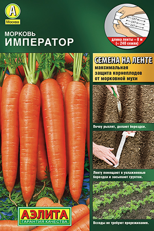 ������� ���������