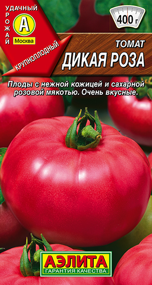 ����� ����� ����