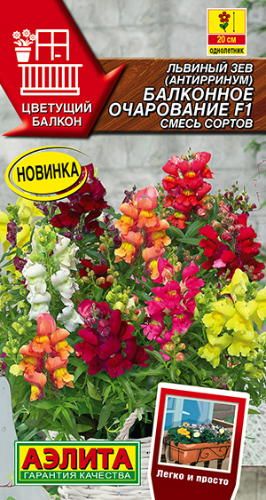 Львиный зев Балконное очарование F1, смесь сортов Львиный зев Балконное очарование F1, смесь сортов