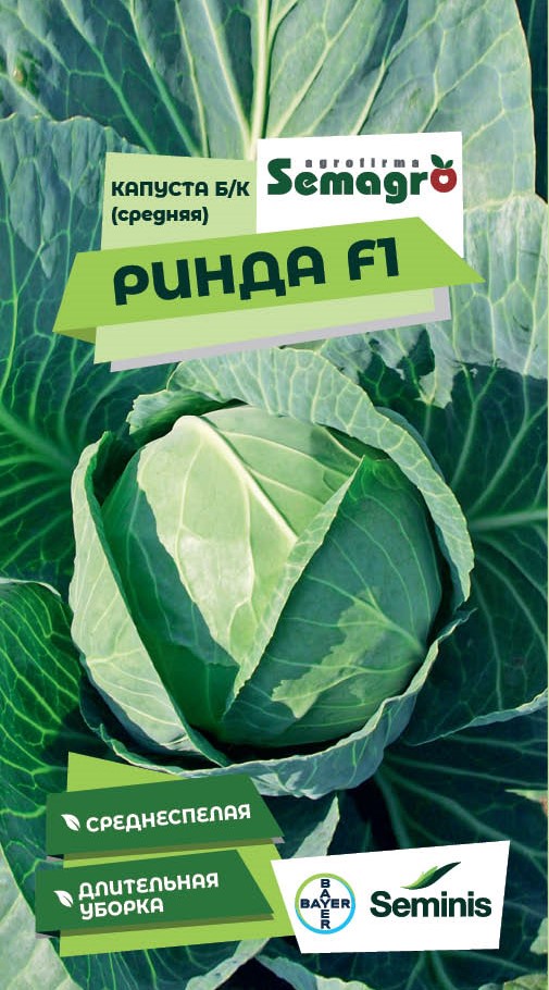 Капуста б/к Ринда F1 Капуста б/к Ринда F1