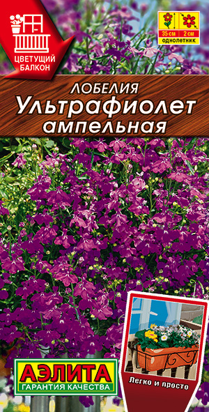 Лобелия Ультрафиолет ампельная Лобелия Ультрафиолет ампельная
