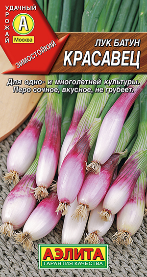 Лук батун Красавец Лук батун Красавец