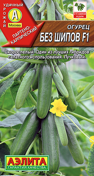 Огурец Без шипов F1 Огурец Без шипов F1