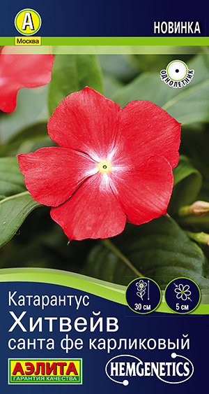 ���������� ������� ����� �� ����������