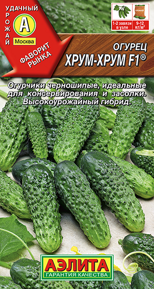 ������ ����-���� F1 �