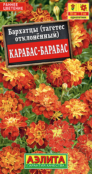 �������� �������-������� �����������