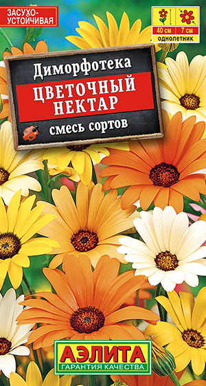 Диморфотека Цветочный нектар, смесь сортов Диморфотека Цветочный нектар, смесь сортов