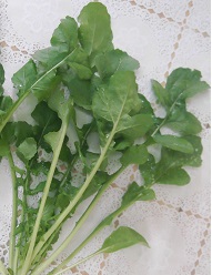 Индау (руккола) Диковина Индау (руккола) Диковина