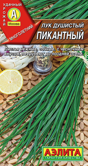 Лук душистый Пикантный Лук душистый Пикантный