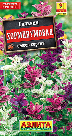 Сальвия Хорминумовая, смесь сортов Сальвия Хорминумовая, смесь сортов