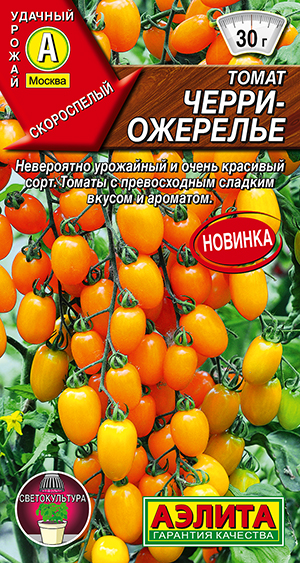 Томат Черри-ожерелье