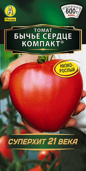 ����� ����� ������ �������