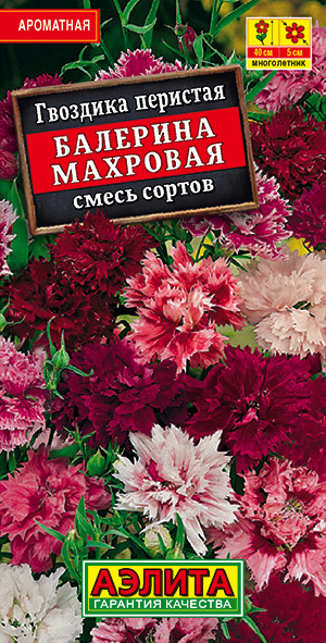 �������� �������� ��������, ����� ������