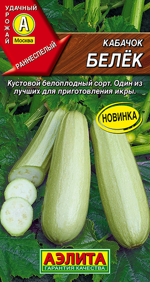 Кабачок белоплодный Белёк Кабачок белоплодный Белёк