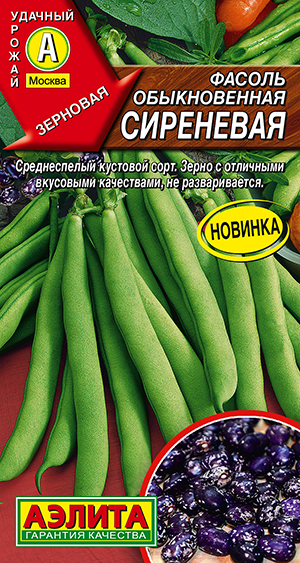 Фасоль обыкновенная Сиреневая