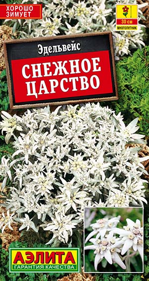 Эдельвейс Снежное царство Эдельвейс Снежное царство
