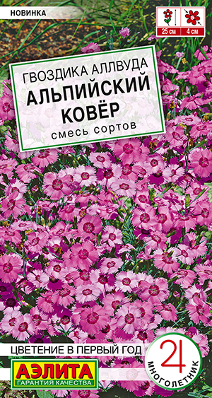 Гвоздика аллвуда Альпийский ковёр, смесь сортов Гвоздика аллвуда Альпийский ковёр, смесь сортов