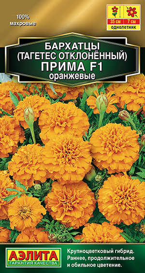 �������� ����� ��������� F1 �����������